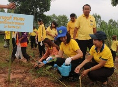 จัดกิจกรรมปลูกป่าเฉลิมพระเกียรติพระบาทสมเด็จพระเจ้าอยู่หัว ... พารามิเตอร์รูปภาพ 7